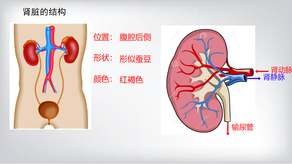 18278755第4页