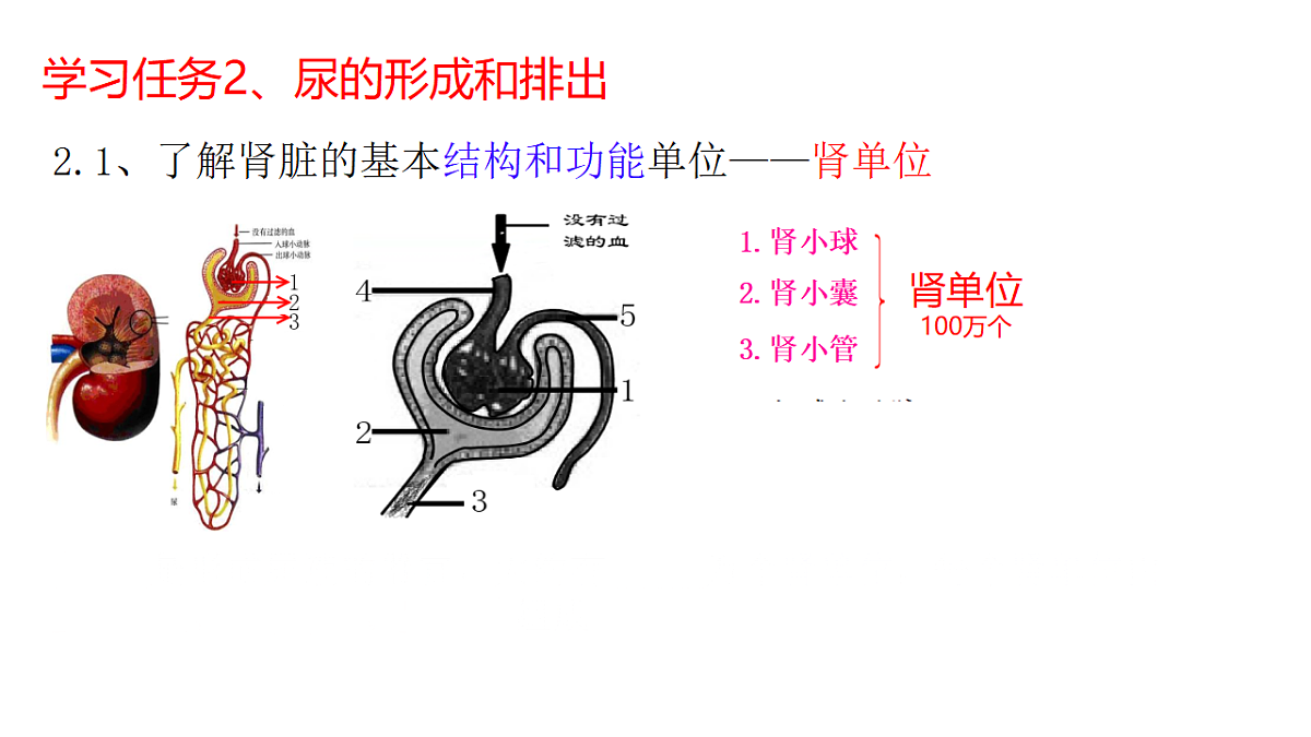 18278755第5页