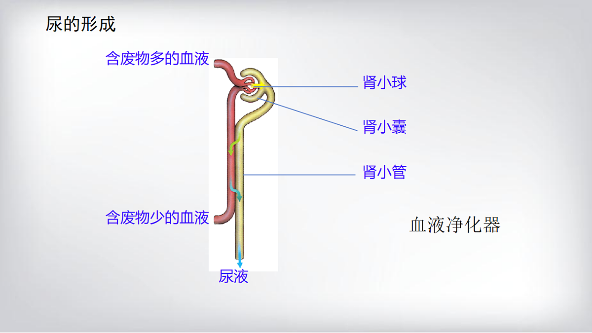 18278755第8页