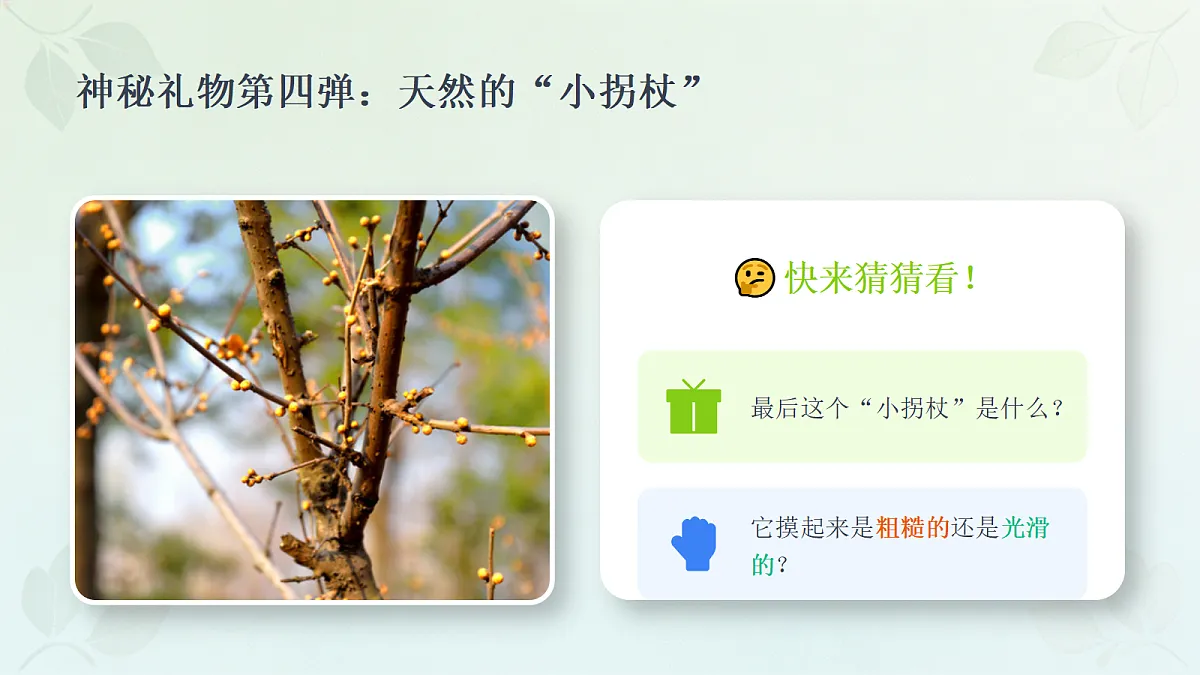 18278808第7页