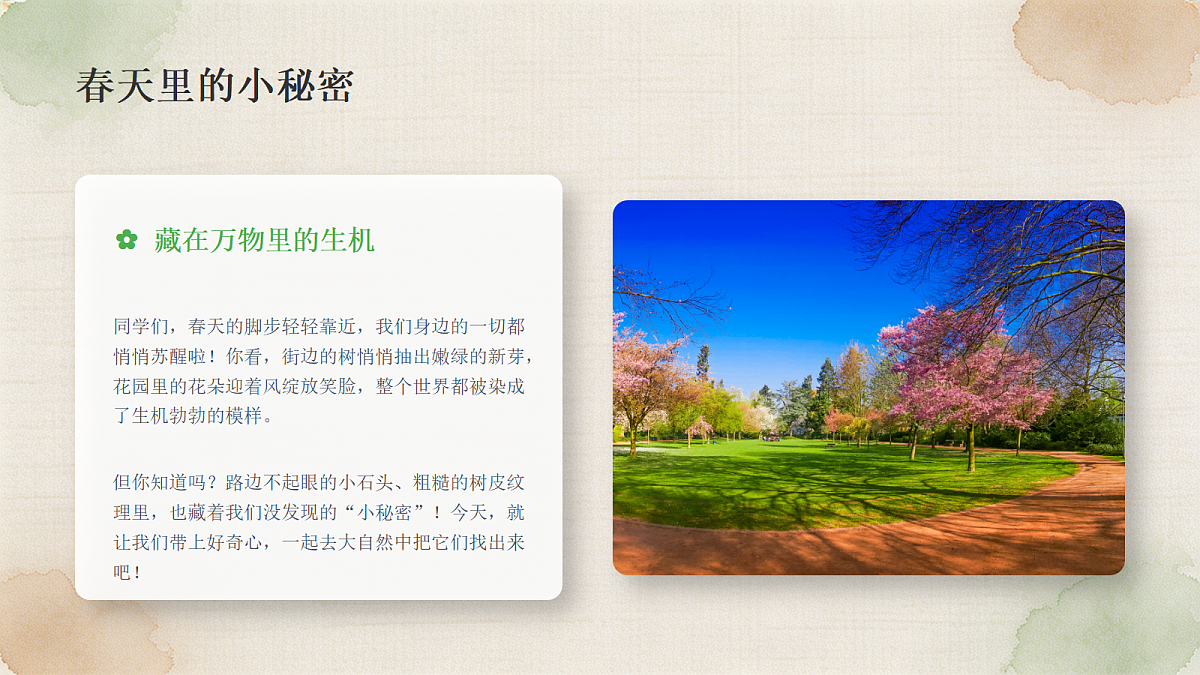 18278809第3页