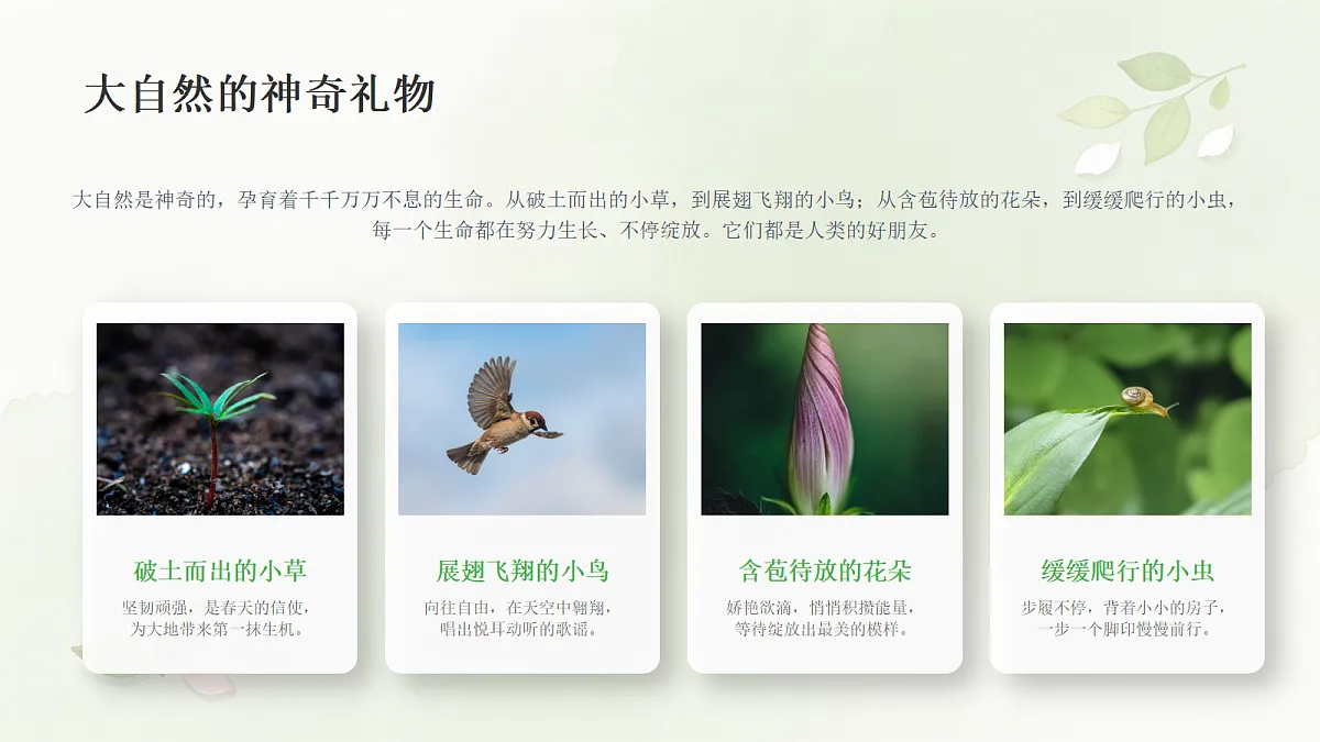 18278813第3页