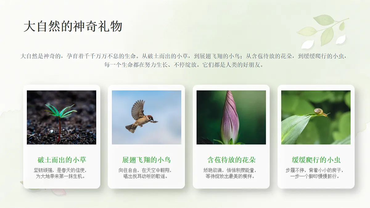 18278814第3页