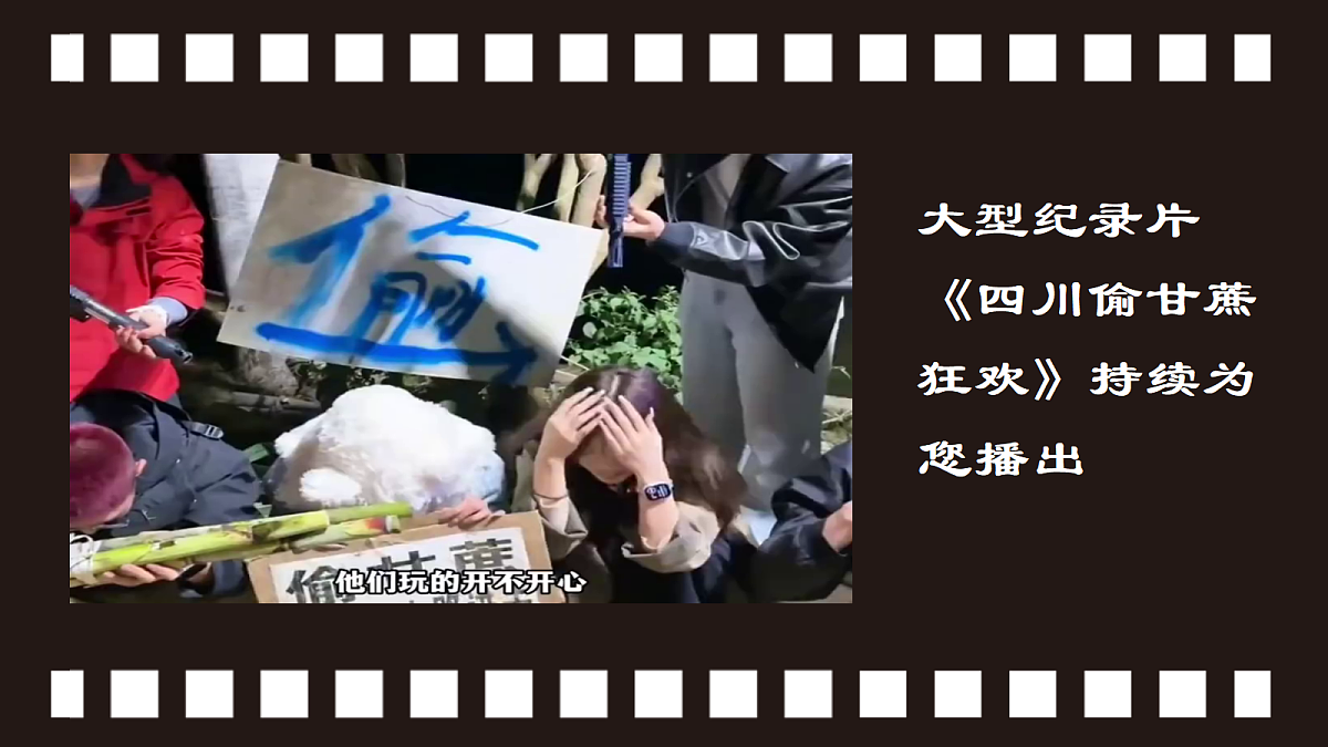 18279385第2页