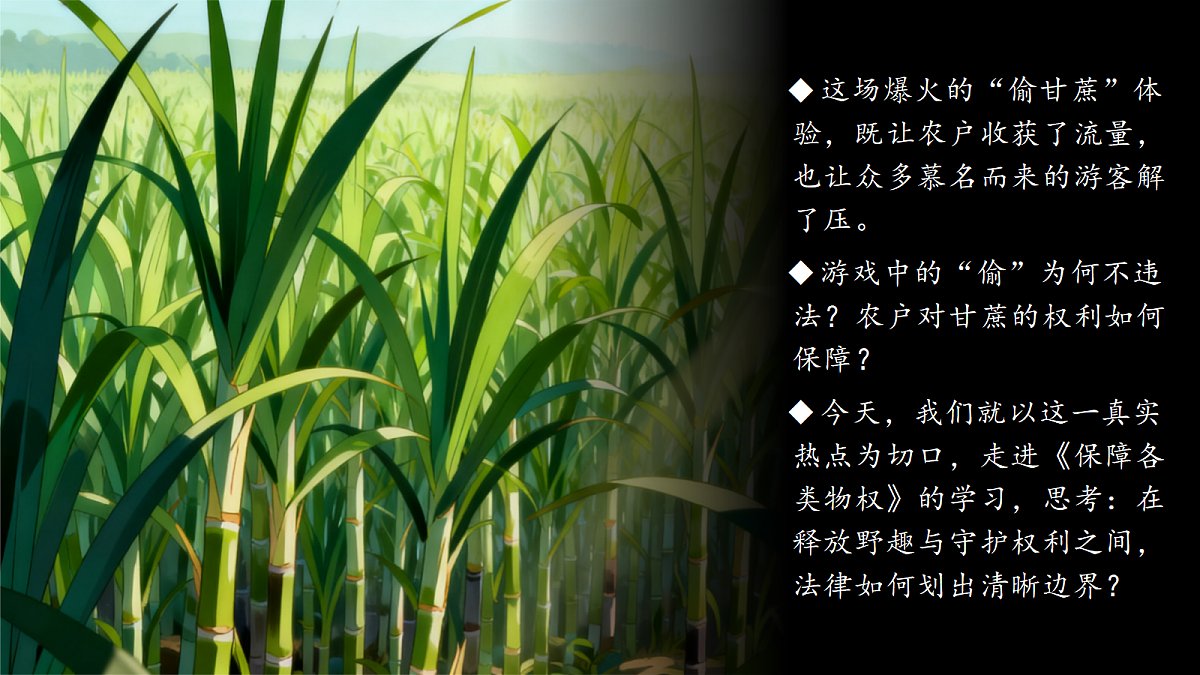 18279385第3页