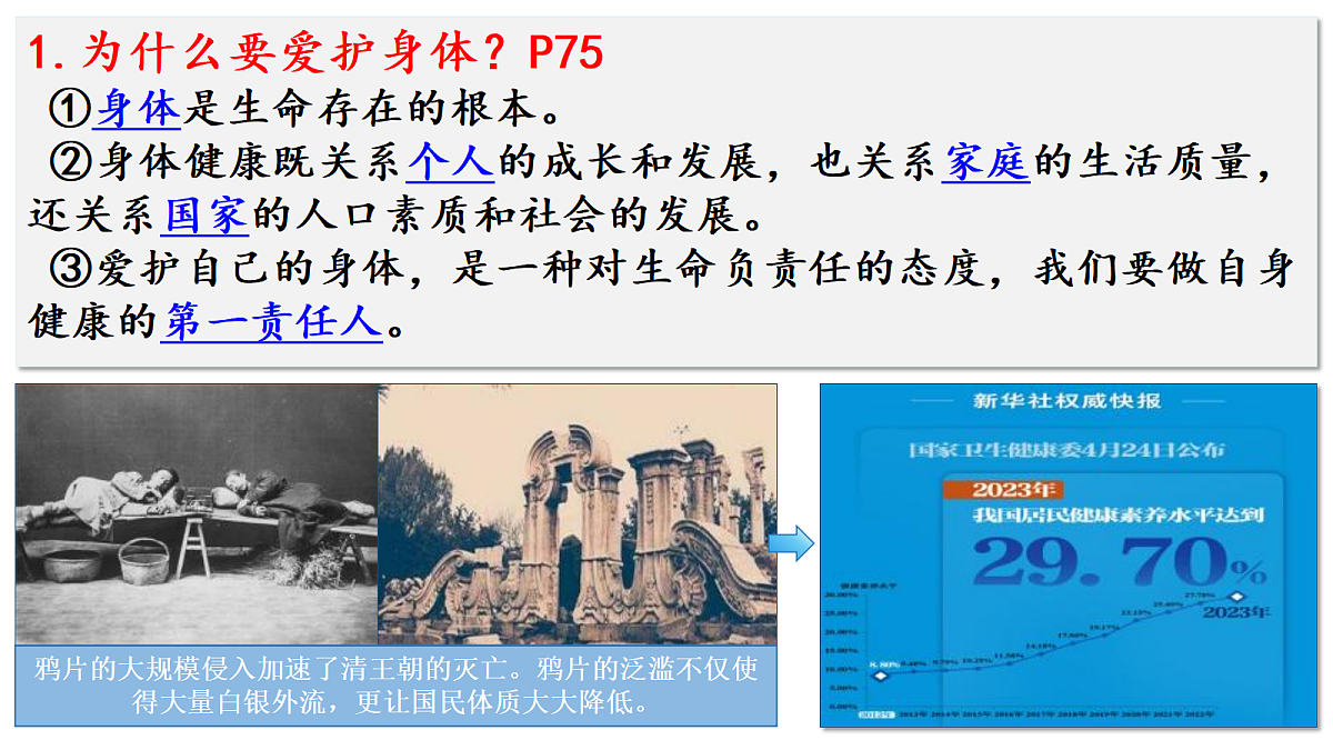 18282238第7页