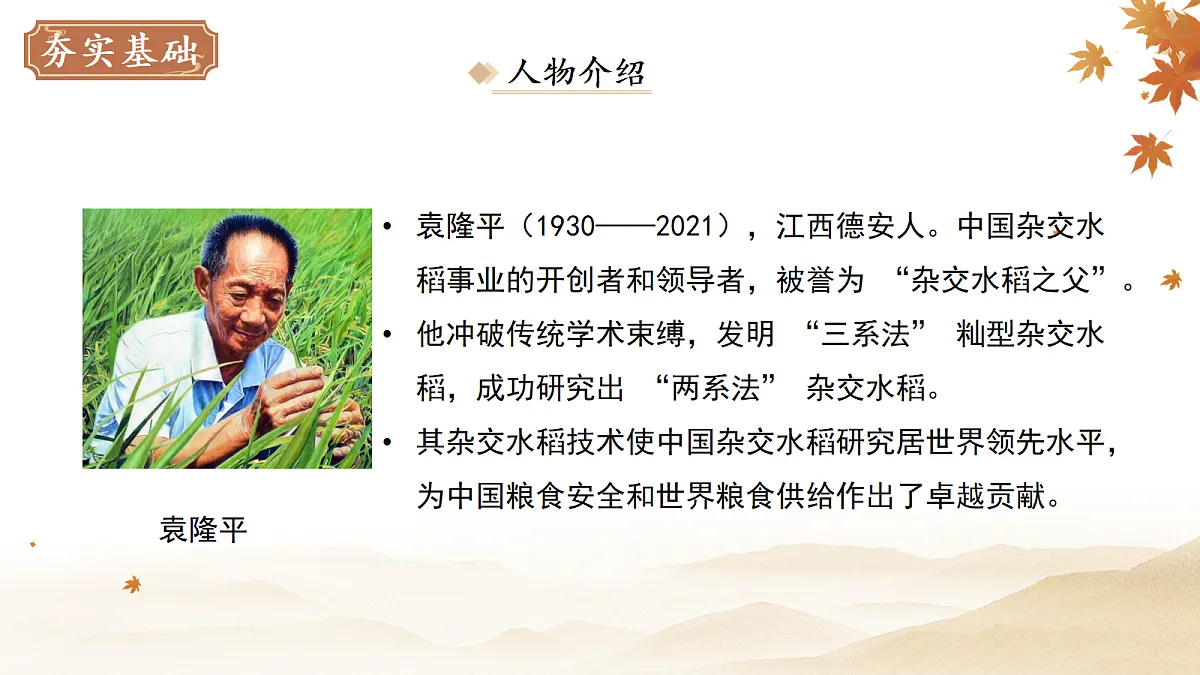 18282329第4页