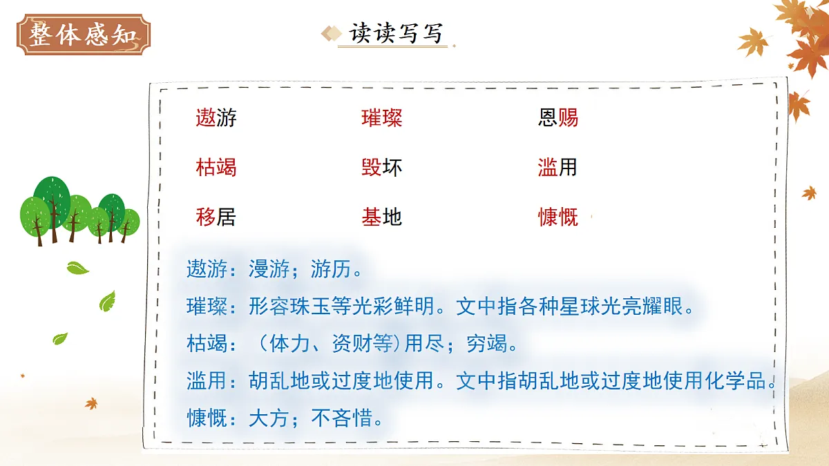 18282331第5页