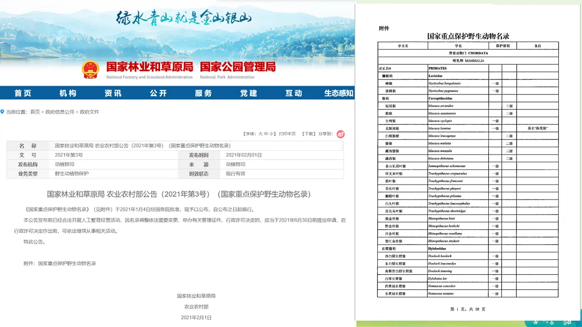 18283056第8页