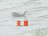 统编版八年级语文下册教学课件 12《诗经》二首