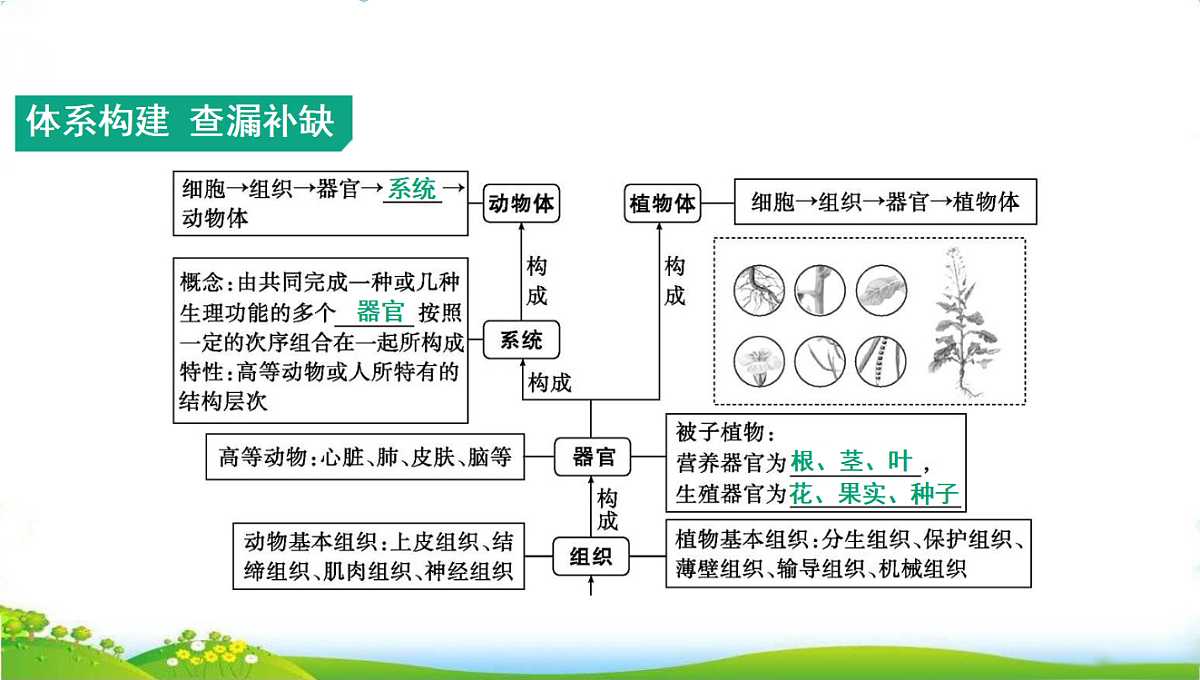 18285142第2页