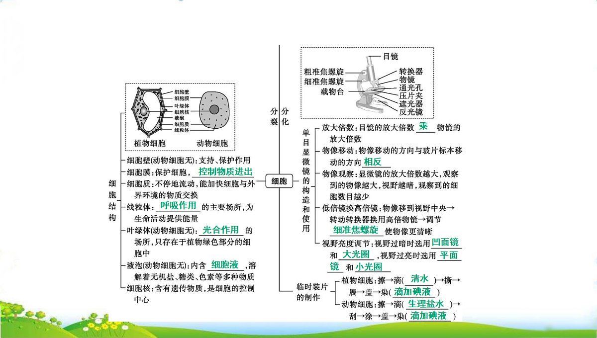 18285142第3页