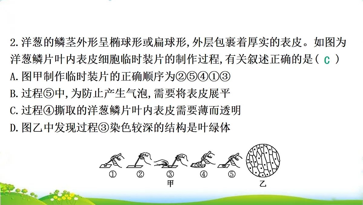 18285142第5页