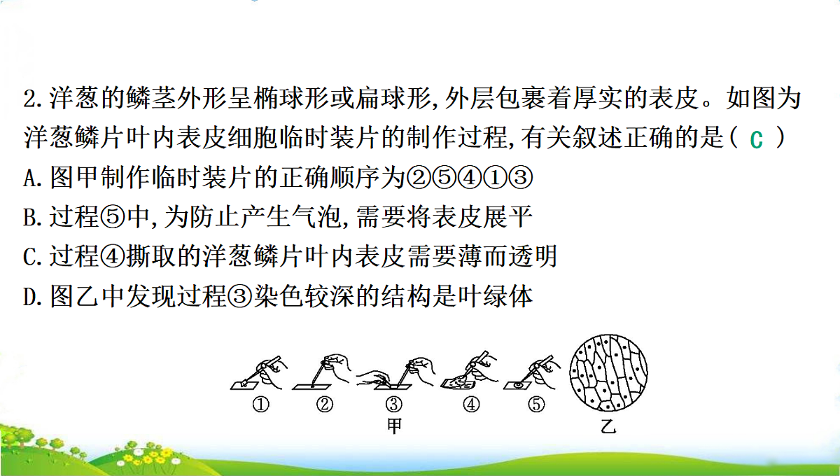 18285142第5页