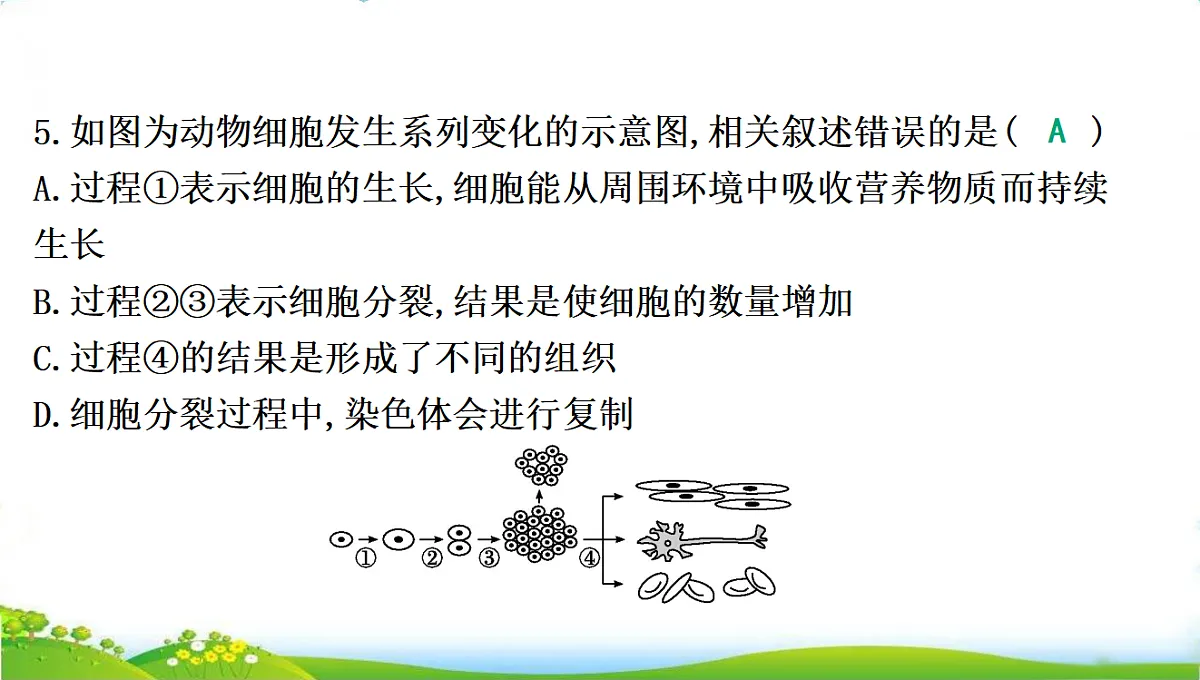 18285142第8页