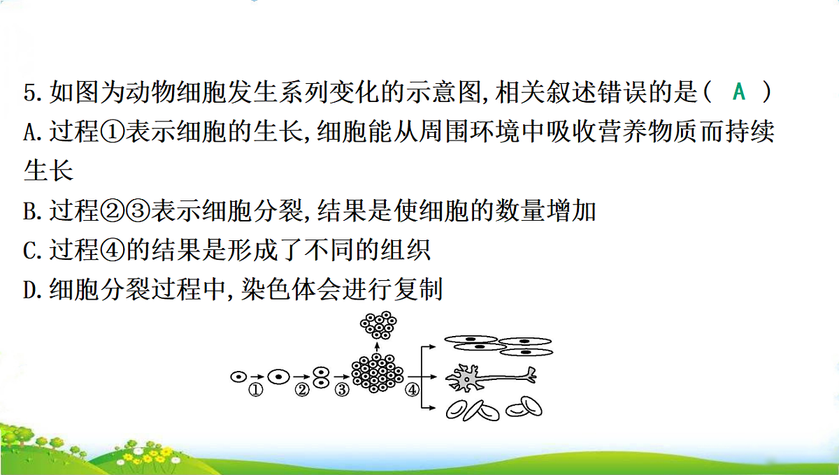 18285142第8页