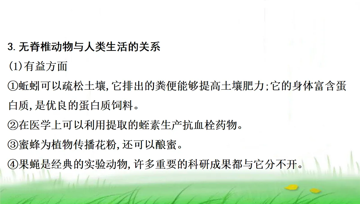 18285143第5页