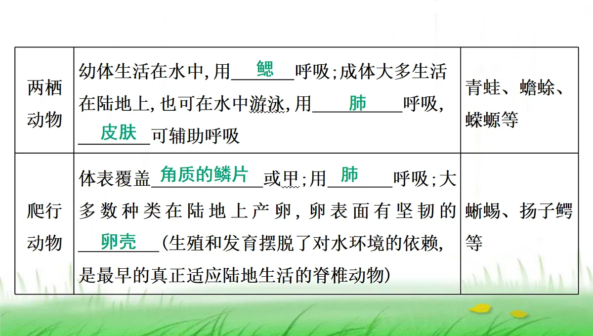 18285143第8页
