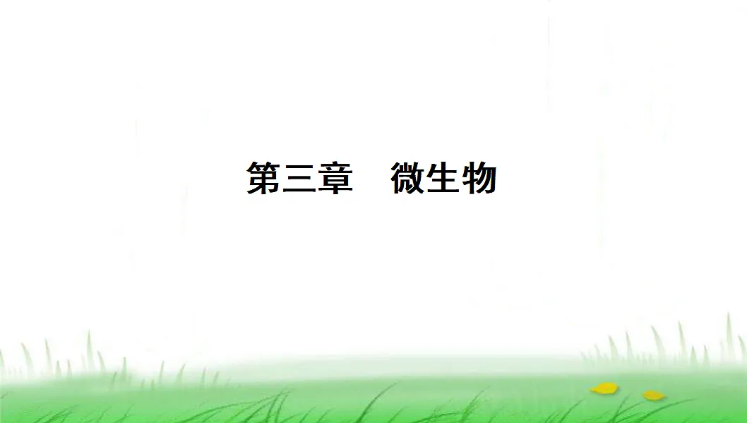 18285144第1页