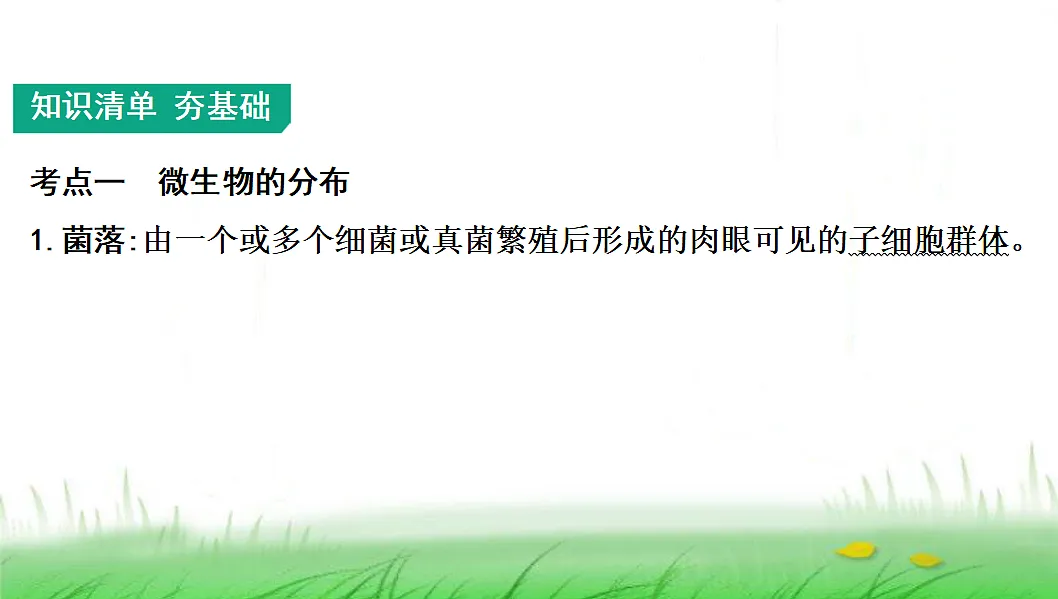 18285144第2页