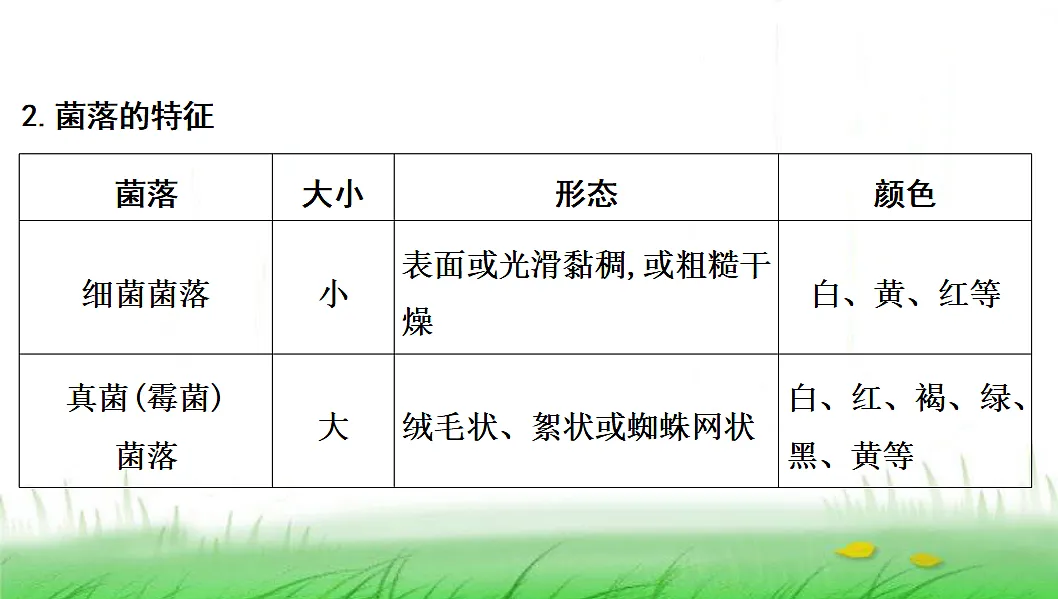 18285144第3页