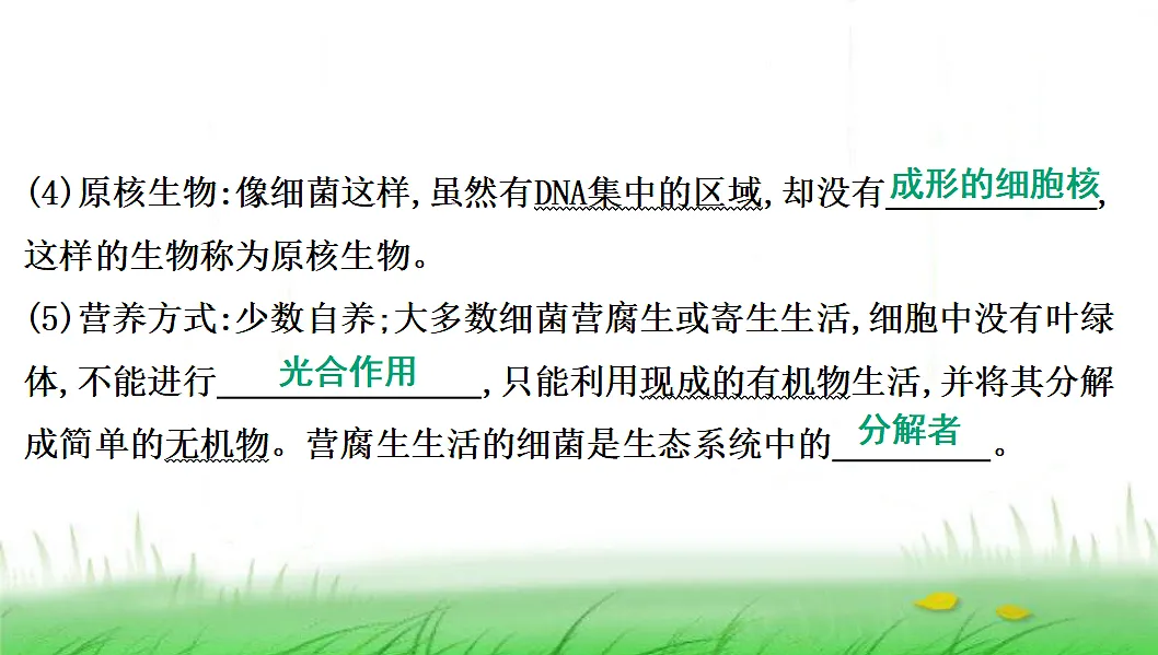 18285144第7页