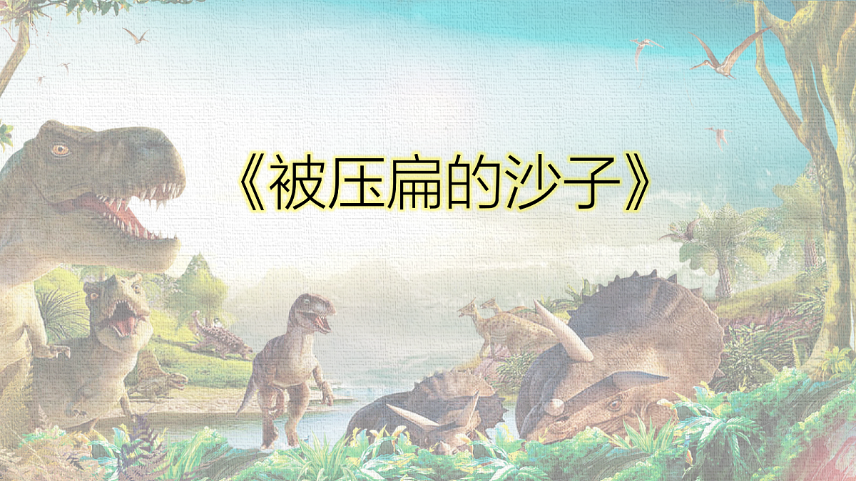 18285537第1页
