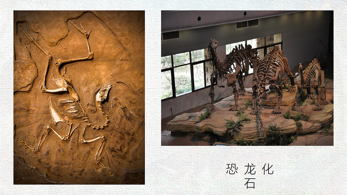 18285537第3页