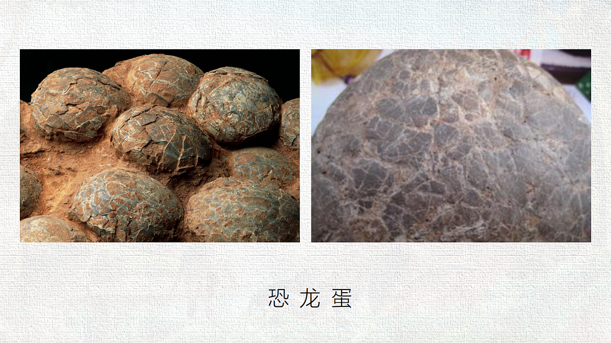 18285537第4页