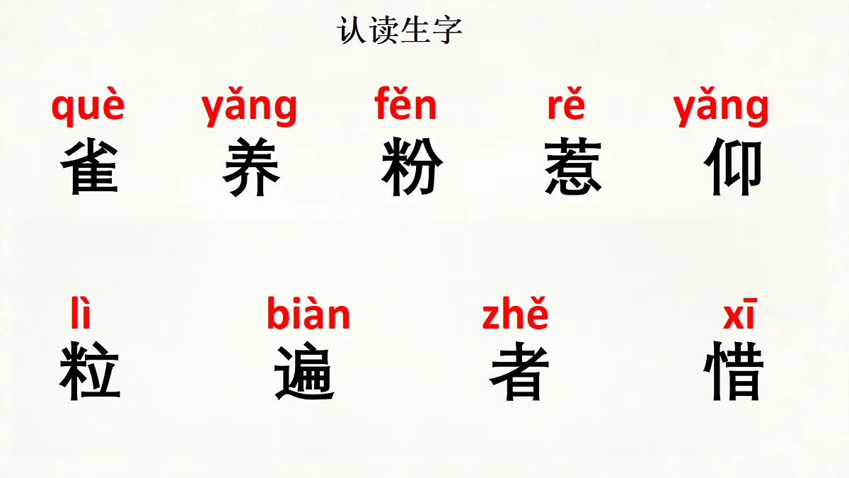 18285541第7页