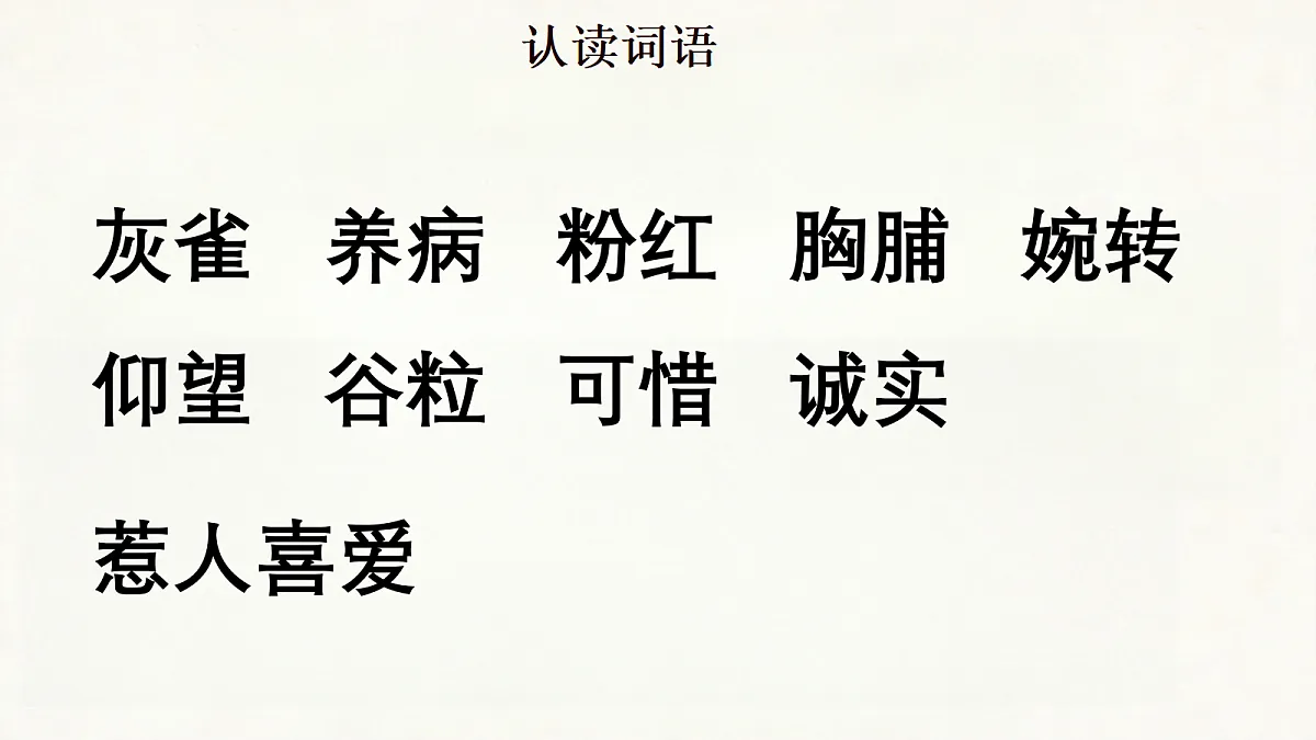 18285541第8页