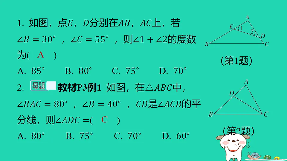 18285900第2页