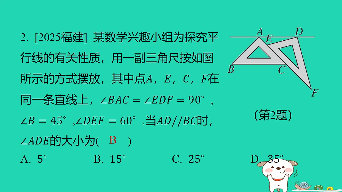 18285901第3页