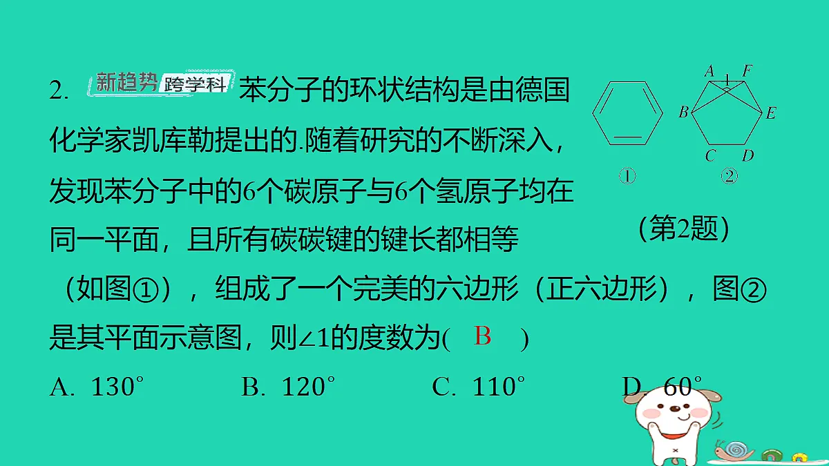 18285902第3页