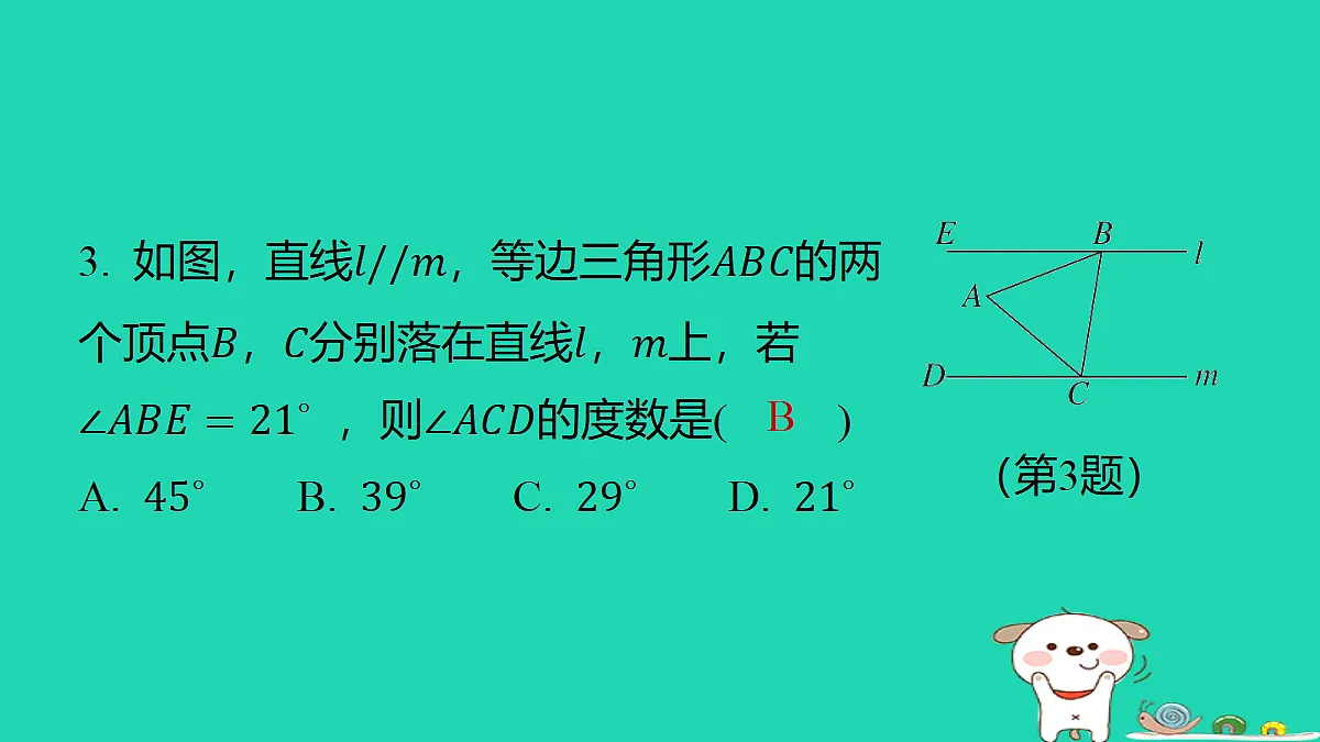 18285905第4页