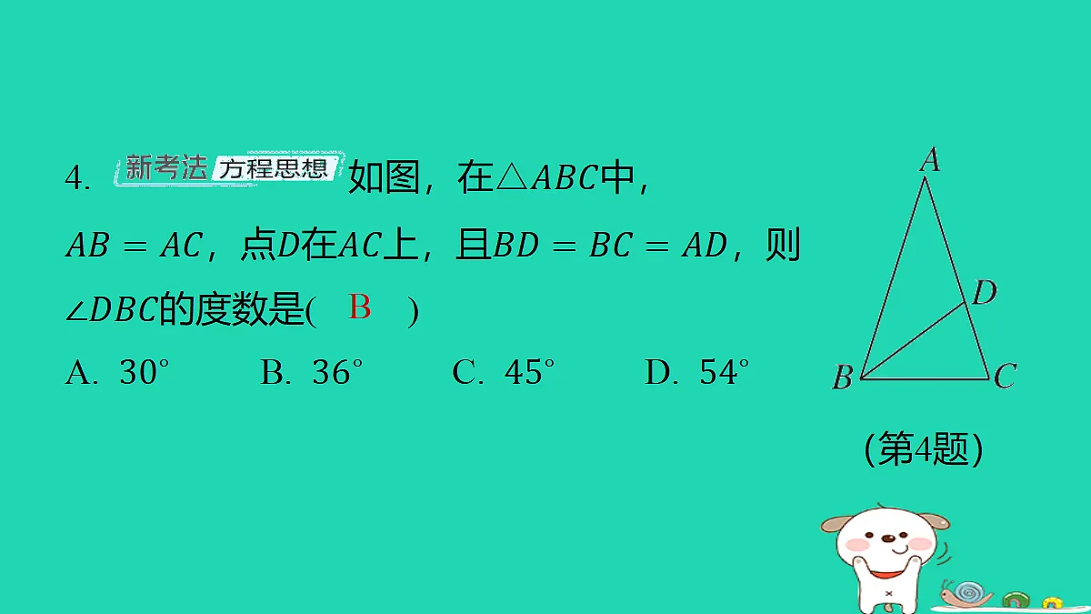 18285905第5页