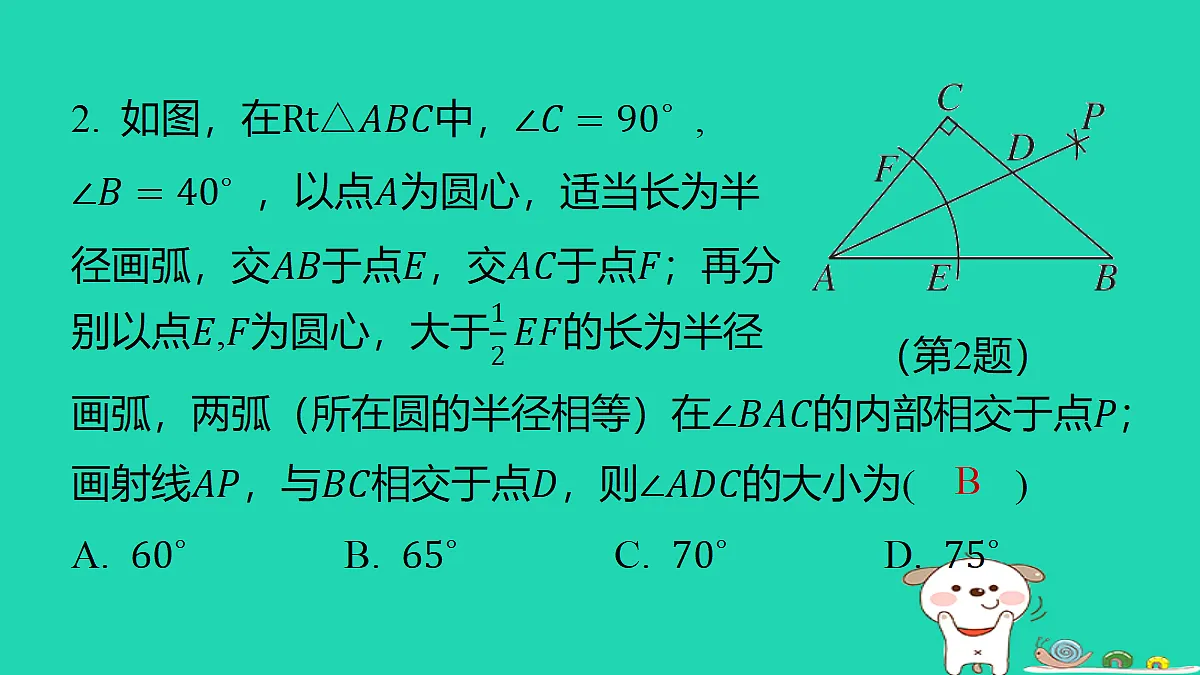18285910第3页