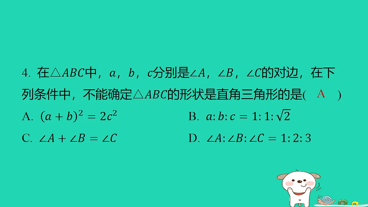 18285910第5页