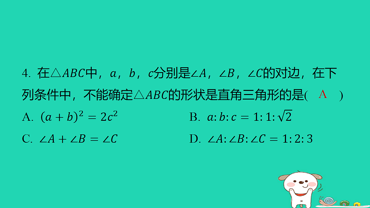 18285910第5页