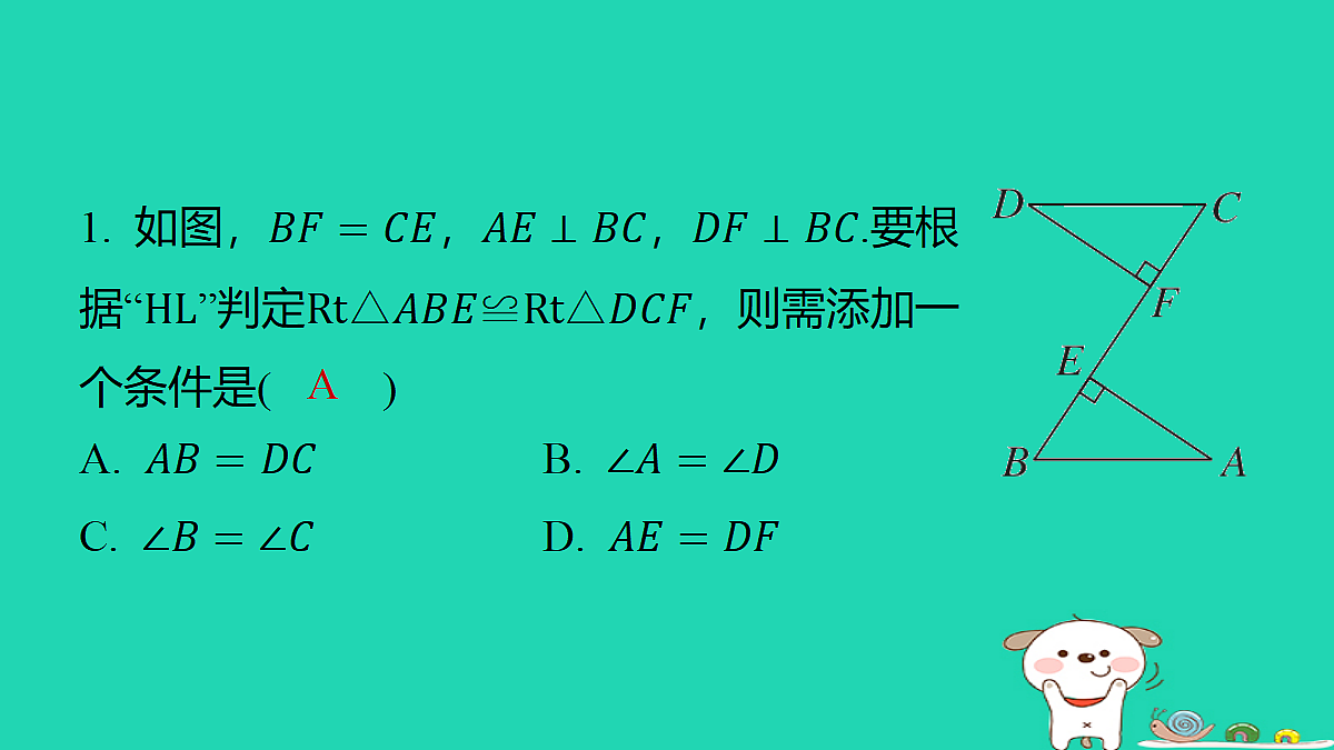 18285911第2页
