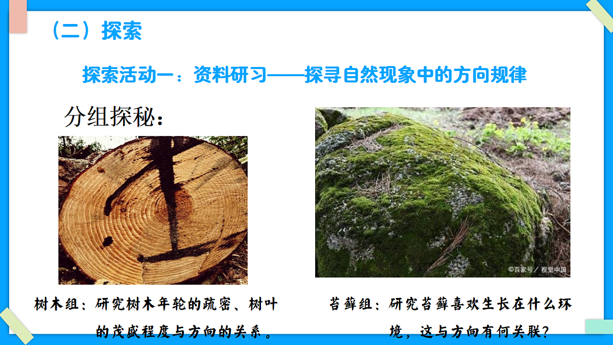 1.2《利用自然物辨别方向》 - 小学科学三级下册 同步教学课件（教科版2024）第5页