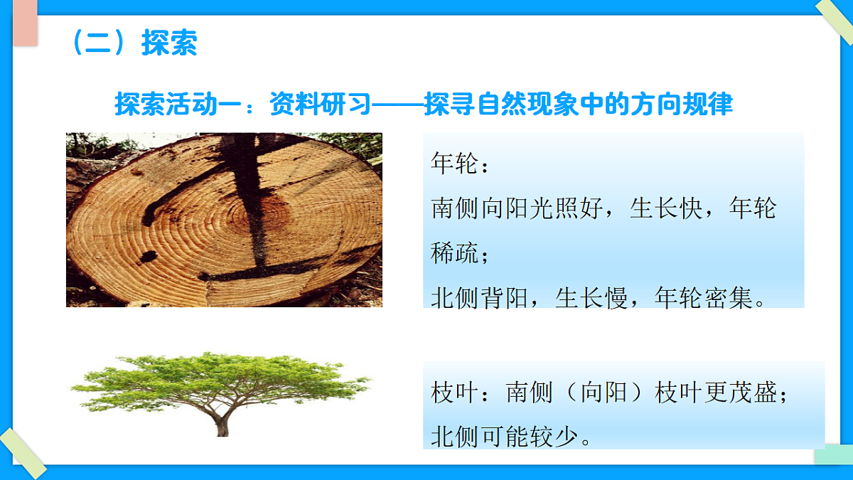 1.2《利用自然物辨别方向》 - 小学科学三级下册 同步教学课件（教科版2024）第8页