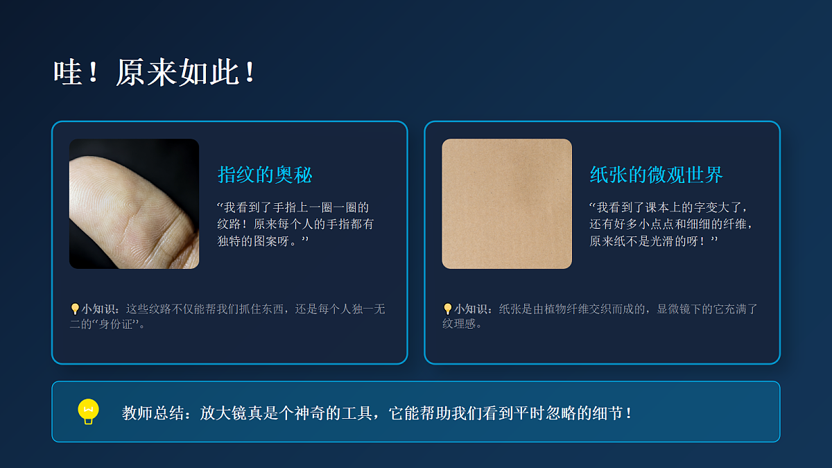 18286508第3页