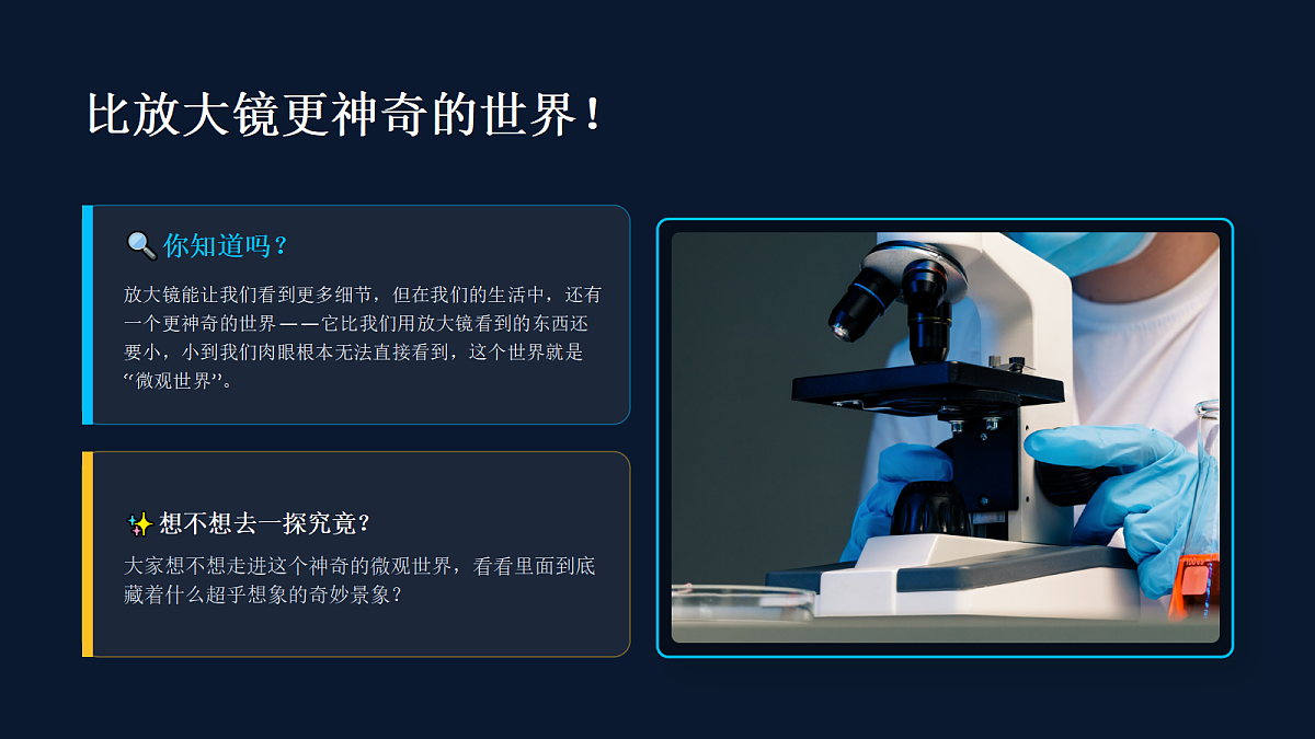 18286508第4页