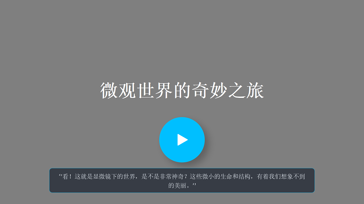 18286508第5页