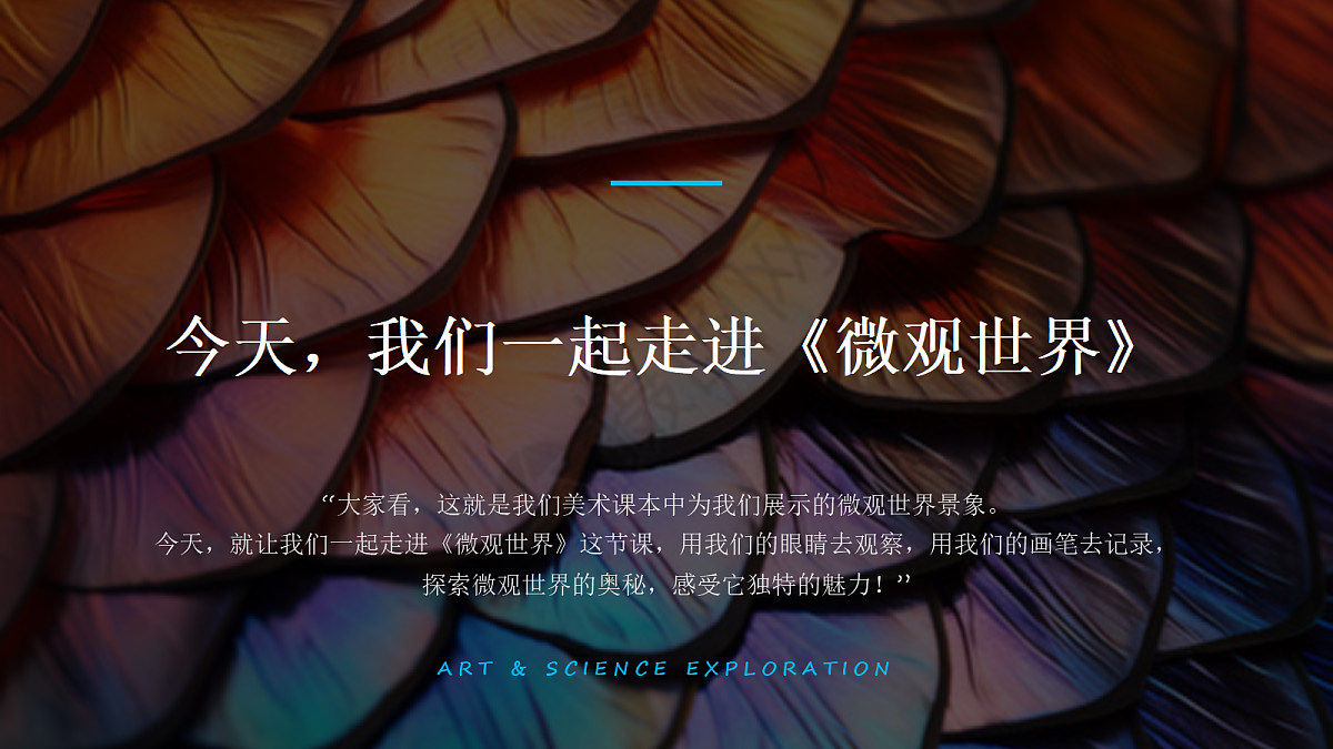 18286508第6页