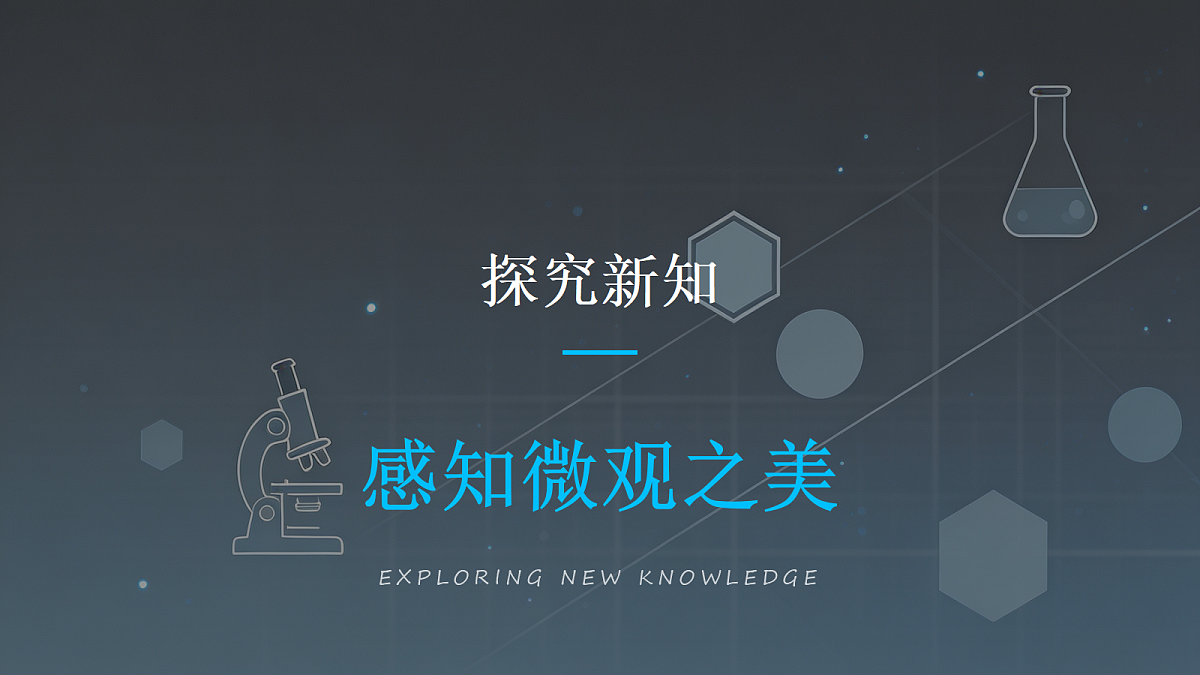 18286508第7页