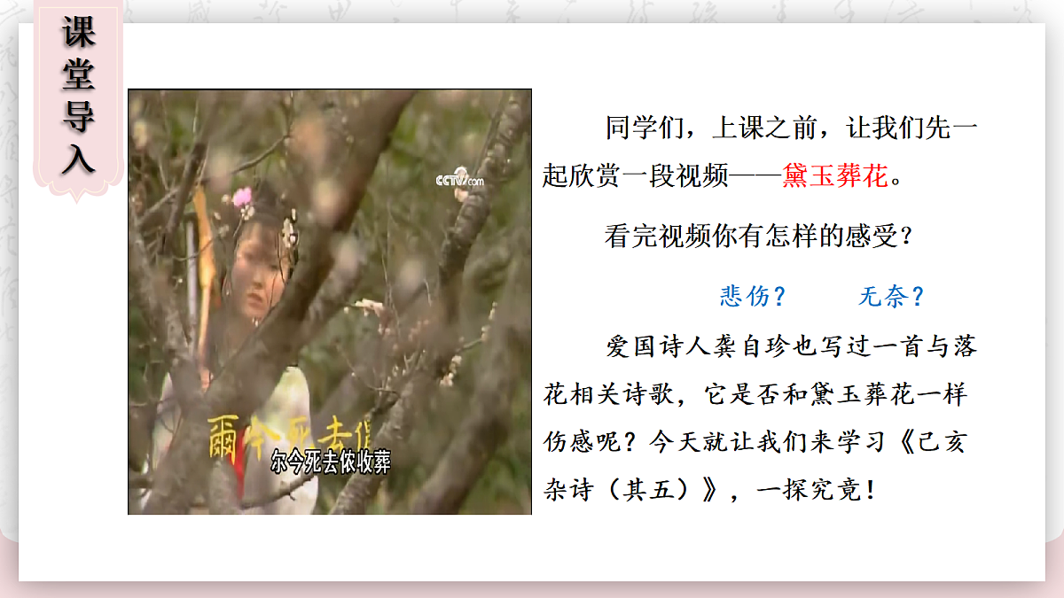 18286779第2页