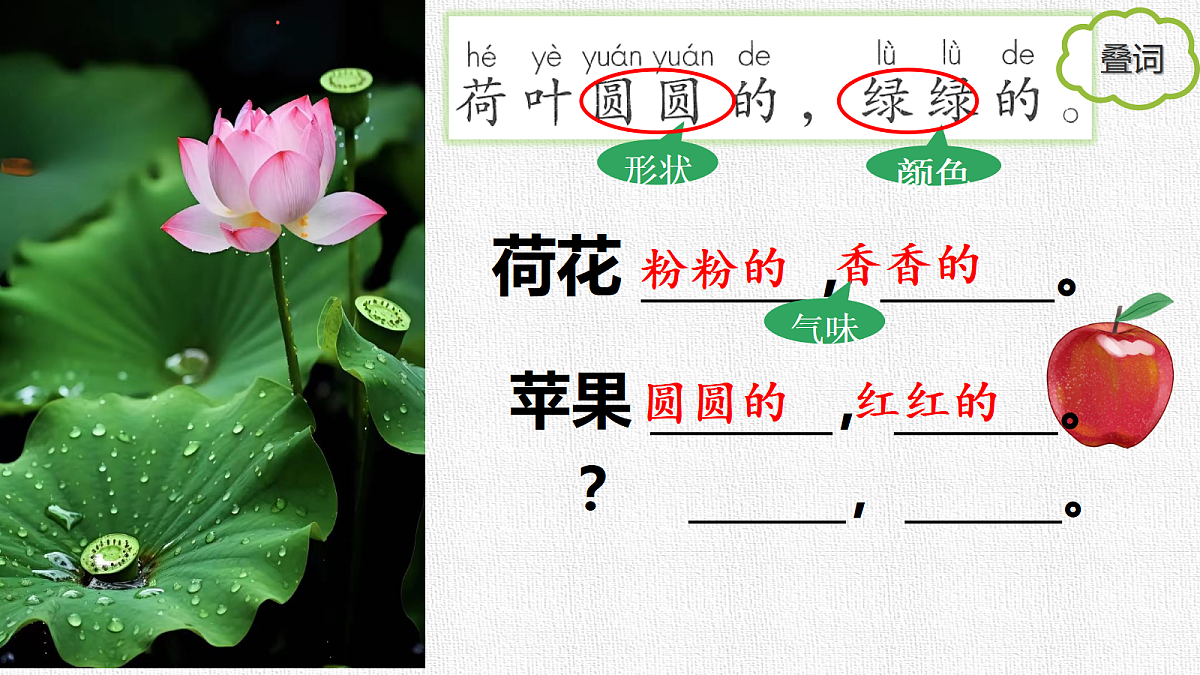 18286814第4页