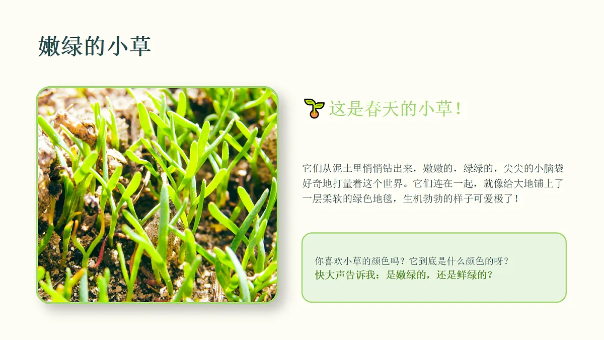 18286894第7页